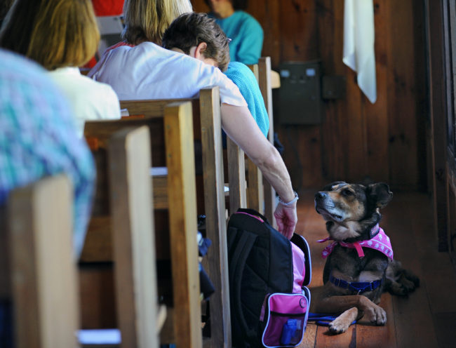 Island Chapel Interdenominational Services, 2014.