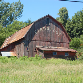 Birdsfoot Farm