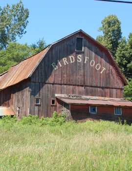 Birdsfoot Farm