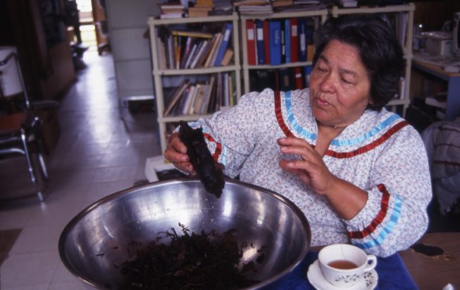 Cecilia Kaienes Mitchell, traditional herbalist and medicine woman, Akwesasne, NY.