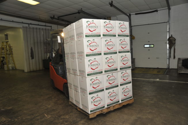 An apple shipment getting ready to go in the orchard warehouse. Forrence Orchards, Peru, NY, 2009.
