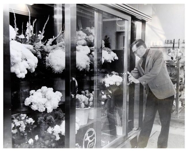 Frank White at his floral shop, before he retired and took up model boat-making. Date and photographer unknown.