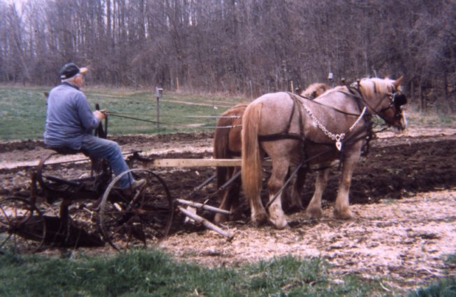 Farm and household auctioneer Roger Huntley. Date and photographer unknown.