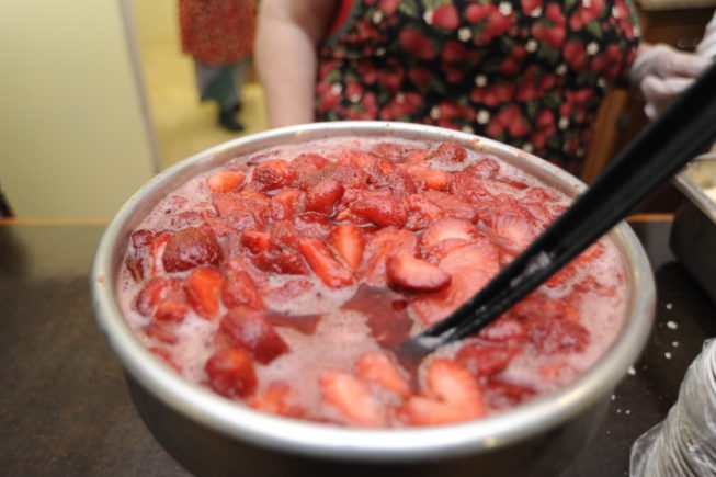 Strawberries for the festival are picked from the local farms, 2013.