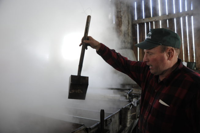 Checking the consistency of the sap being boiled into syrup in the evaporator, 2010.