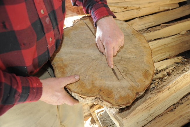 Haskell Yancey points out the mark of old taps in the wood, 2010.
