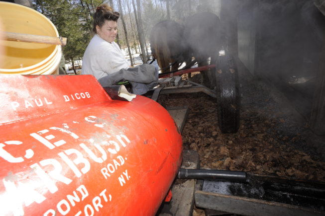 Delivering sap to the boiling shed, 2010.