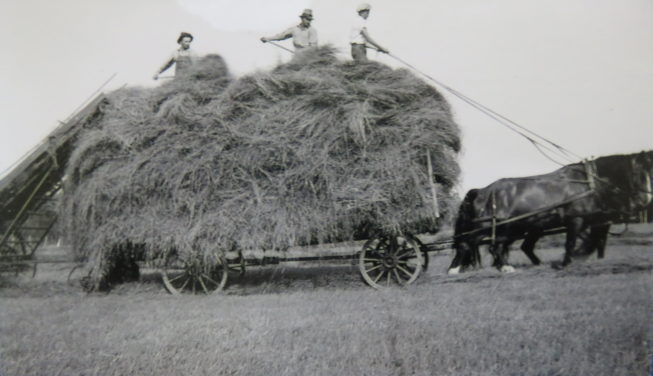 Family including Loretta’s maternal uncles haying, likely at the family farm in Westernville, NY, before her family moved to the farm near Constableville, NY. Photographer and date unknown. Courtesy of Loretta Lepkowski.