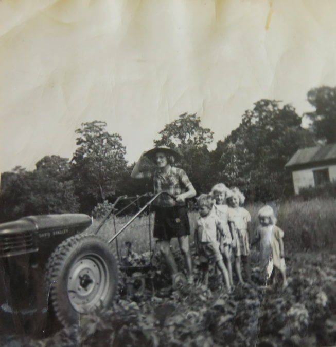 Loretta’s mother Vicki, a great gardener, works the old garden cultivator at the family farm where Loretta grew up near Constableville, NY, with Loretta’s older siblings in tow. Photographer and date unknown. Courtesy of Loretta Lepkowski.